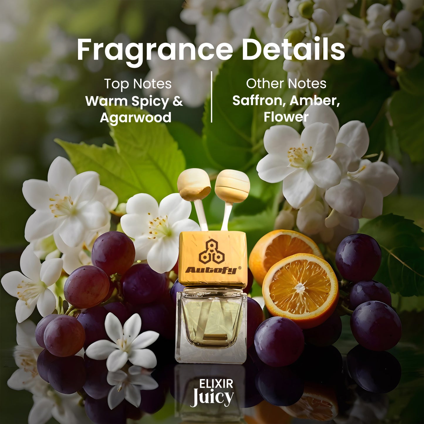 Autofy ELIXIR Vent Perfume for Dashboard Perfume Diffuser Car