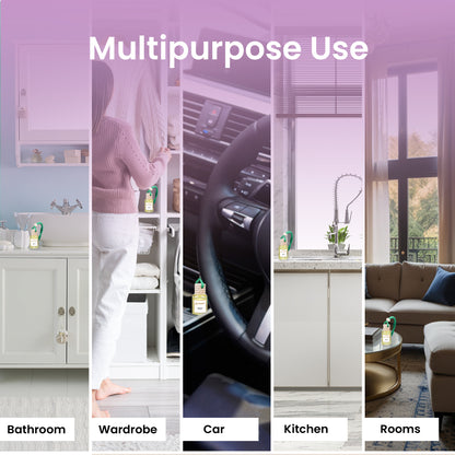 Autofy AIRHAVEN Car Perfume for Dashboard Hanging Perfume Diffuser